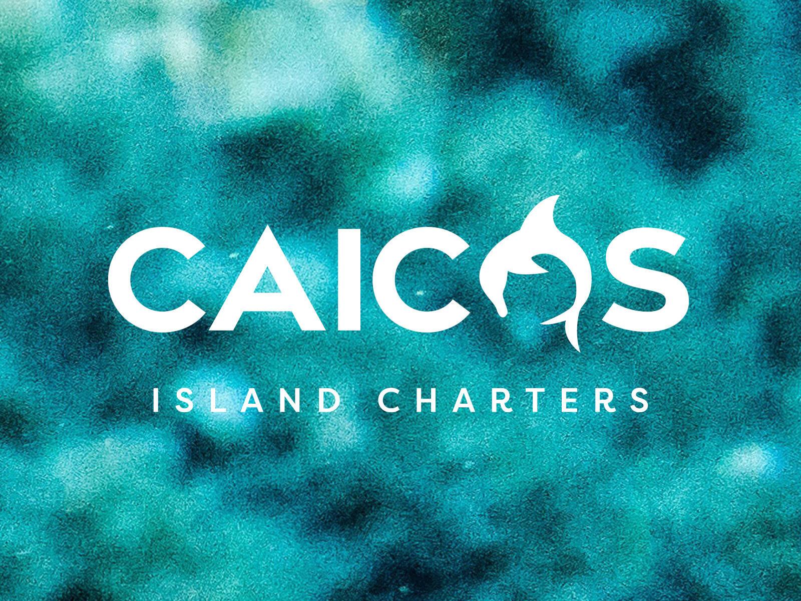 Caicos_island_charters_turks-caicos-tour-guides-boating-brand-design-website