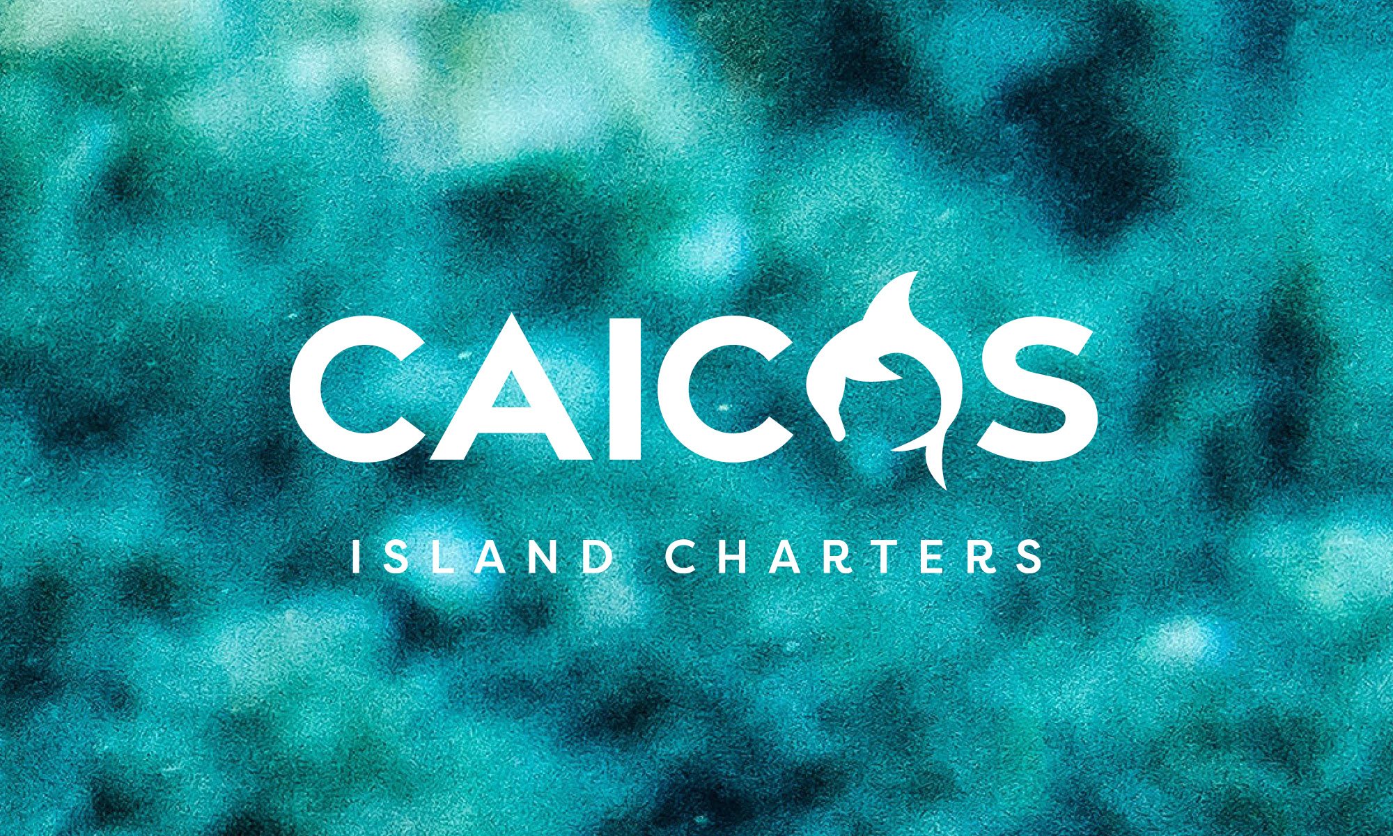 Caicos_island_charters_turks-caicos-tour-guides-boating-brand-design-website