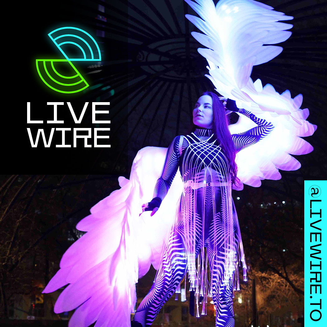 livewire-website-design-toronto-designer-performer-19